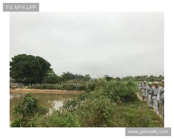刘丽专访揭秘排球成功背后的秘密与奋斗历程